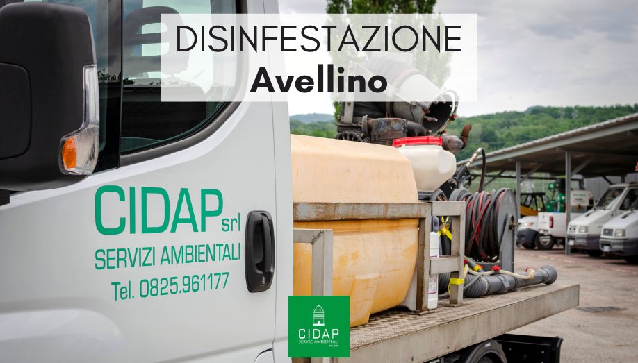 Disinfestazione Avellino Maggio 2020