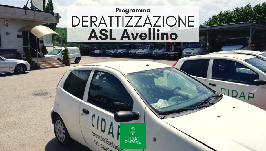 Programma derattizzazione Asl Avellino Maggio Giugno 2020