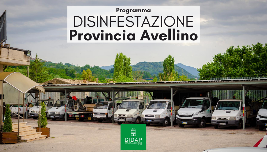 Programma disinfestazione ad azione adulticida Provincia di Avellino Giugno 2020