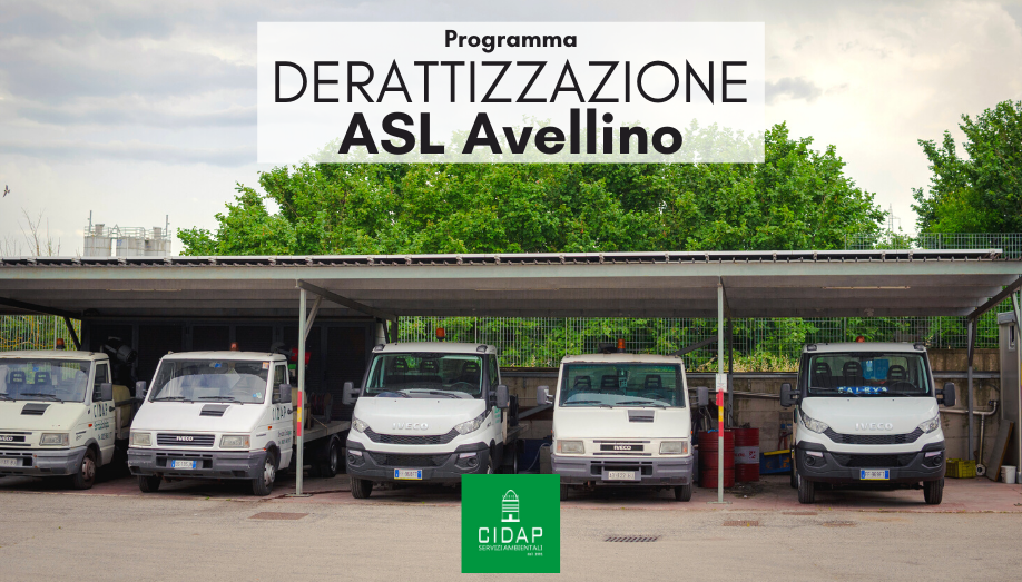 Programma derattizzazione ASL Avellino settembre/ottobre 2020