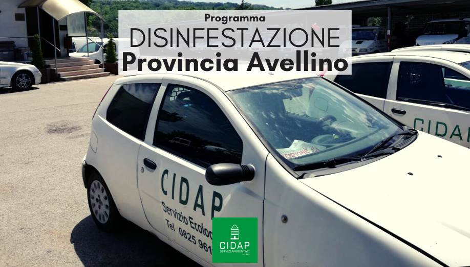 Programma disinfestazione Provincia Avellino settembre 2020