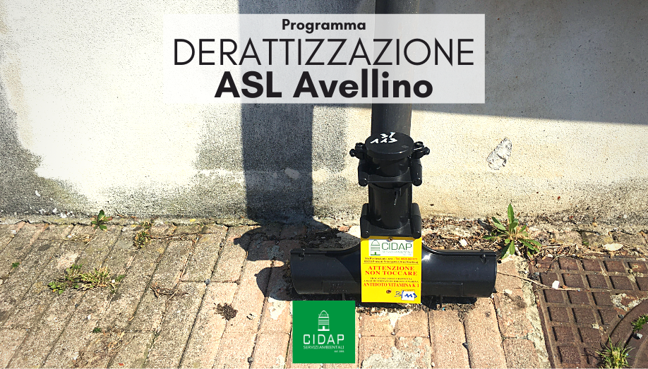 Programma derattizzazione ASL Avellino maggio 2021