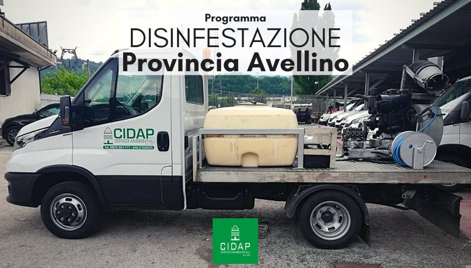 Provincia Avellino, programma di disinfestazione luglio 2021