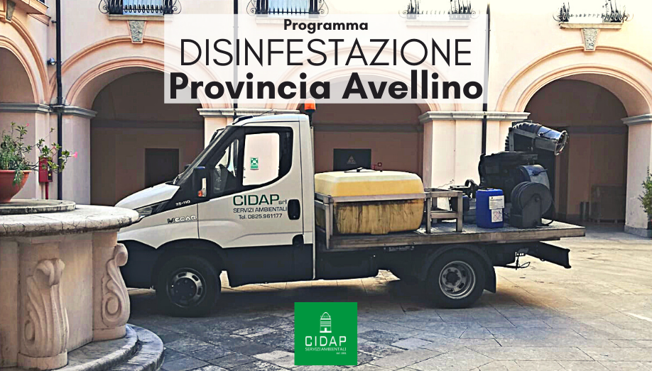 Provincia Avellino programma di disinfestazione agosto/settembre 2021