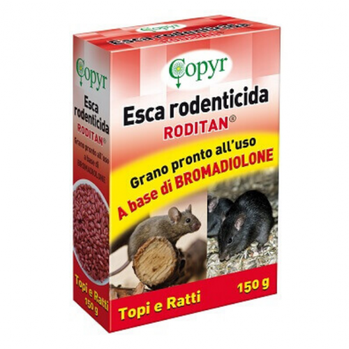 Roditan Grano