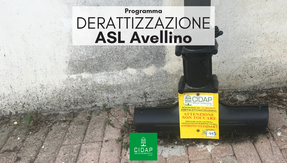Programma derattizzazione ASL Avellino maggio/giugno 2022