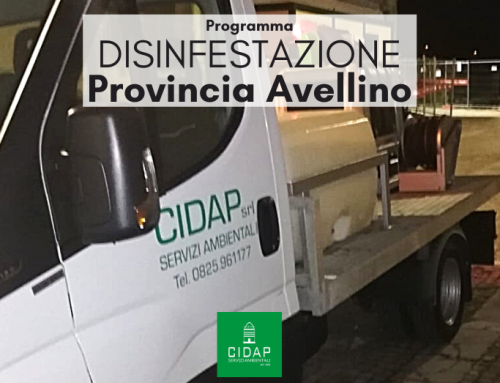 Provincia Avellino, programma di disinfestazione maggio 2022