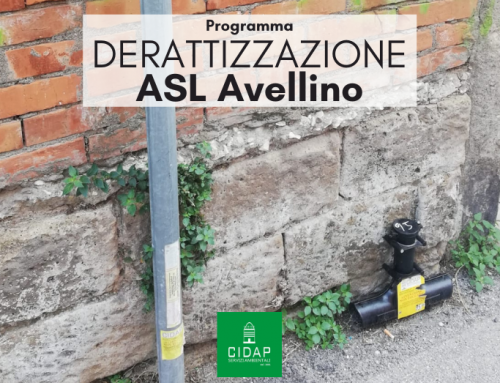 Programma derattizzazione ASL Avellino luglio 2022