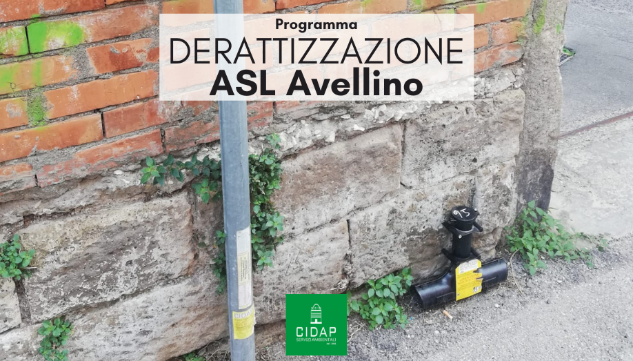 Programma derattizzazione ASL Avellino luglio 2022