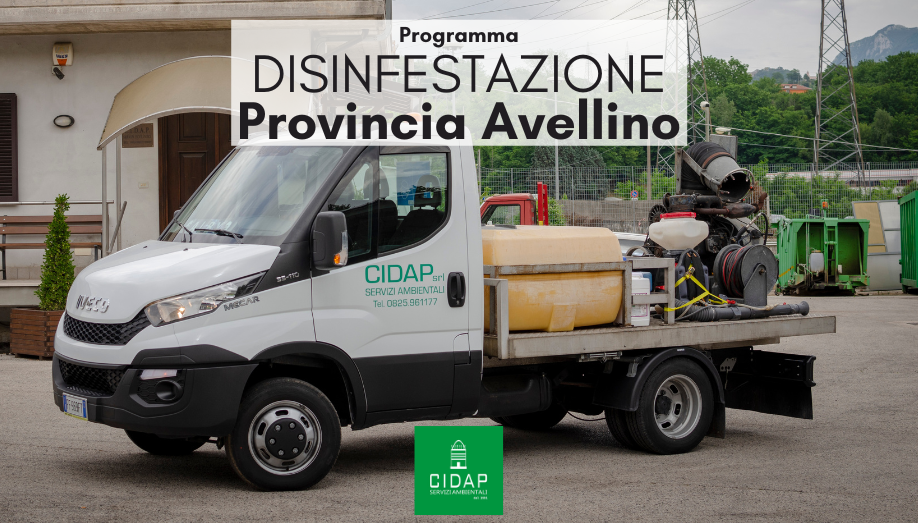 Provincia Avellino programma di disinfestazione giugno 2022