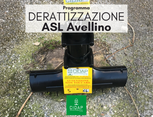 Programma derattizzazione ASL Avellino agosto 2022
