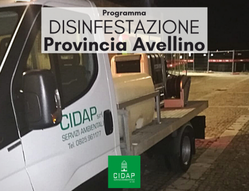 Provincia Avellino, programma di disinfestazione luglio/agosto 2022