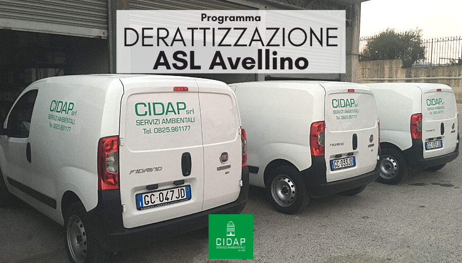 Programma derattizzazione ASL Avellino Settembre 2022