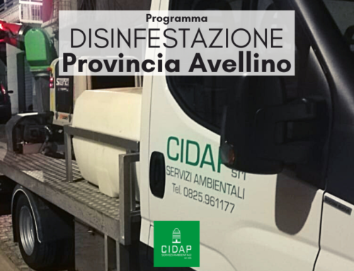 Provincia Avellino, programma di disinfestazione agosto/settembre 2022
