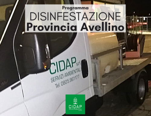 Provincia Avellino, programma di disinfestazione settembre/ottobre 2022