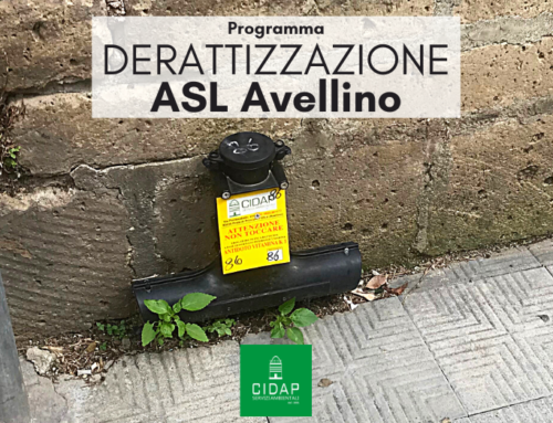 Programma derattizzazione ASL Avellino Novembre 2022