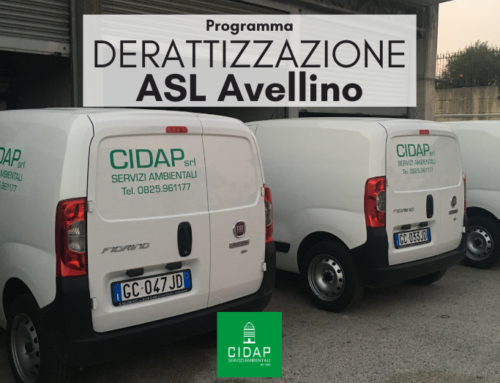 Programma derattizzazione ASL Avellino Febbraio 2023
