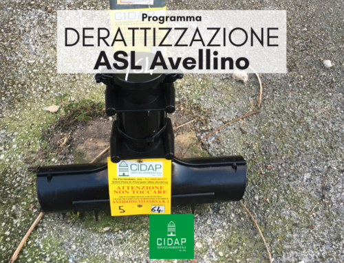 Programma derattizzazione ASL Avellino Aprile 2023