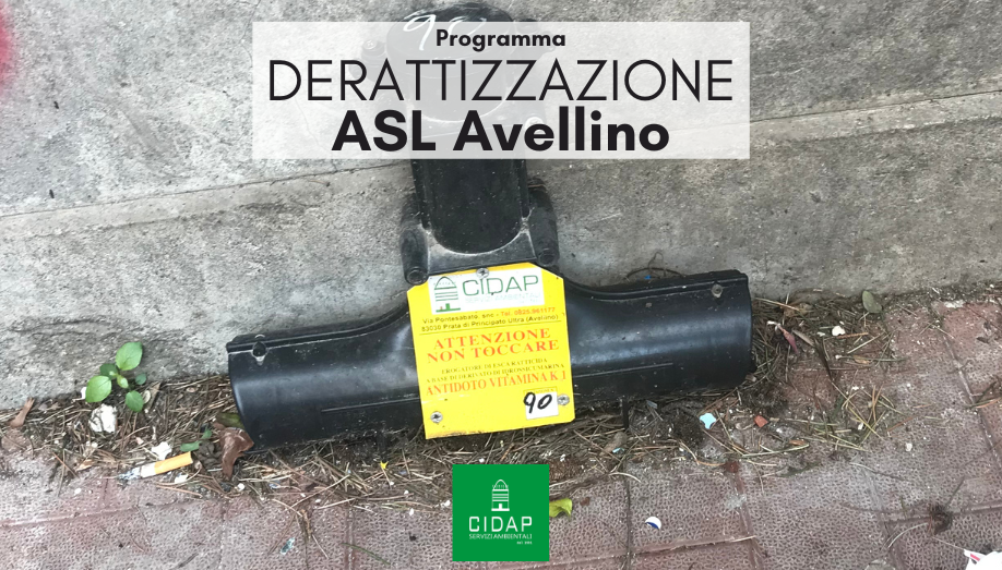 Programma derattizzazione ASL Avellino Marzo 2023