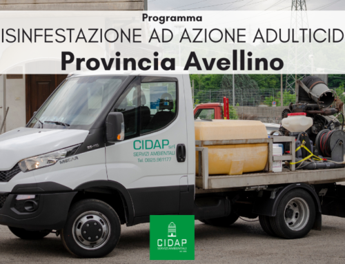Provincia Avellino, programma di disinfestazione ad azione adulticida aprile/maggio 2023