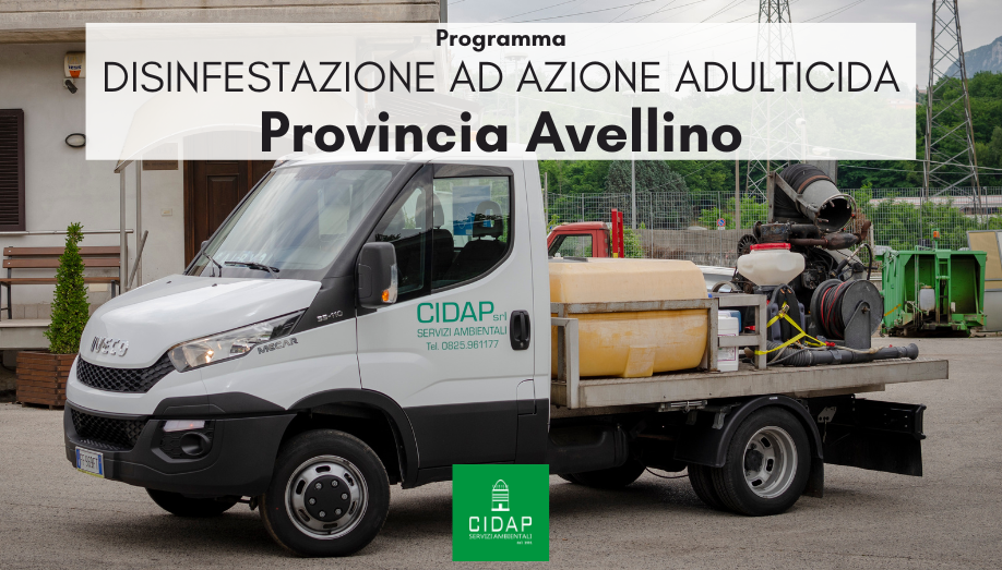 Provincia Avellino, programma di disinfestazione ad azione adulticida aprile/maggio 2023