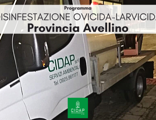 Provincia Avellino, programma di disinfestazione ovidica-larvicida marzo 2023