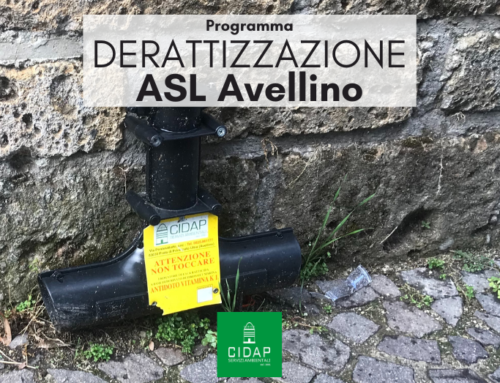 Programma derattizzazione ASL Avellino Giugno 2023