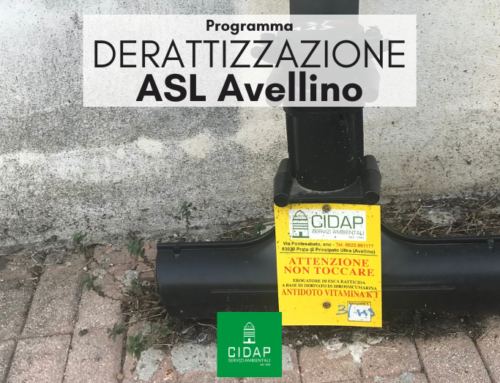 Programma derattizzazione ASL Avellino Maggio 2023