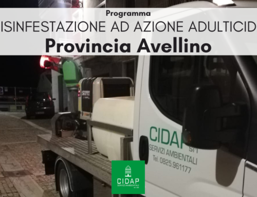Provincia Avellino, programma di disinfestazione ad azione adulticida maggio/giugno 2023