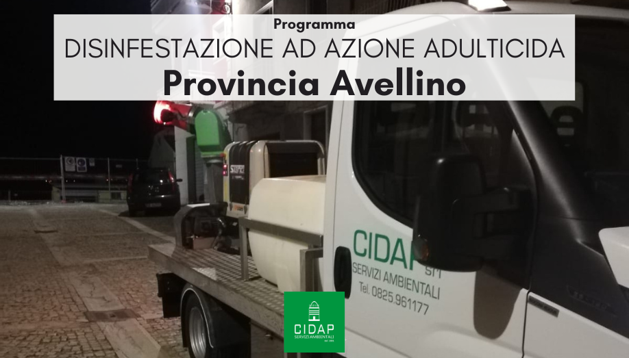 Provincia Avellino, programma di disinfestazione ad azione adulticida maggio/giugno 2023