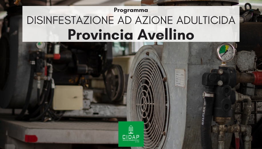 Provincia Avellino, programma di disinfestazione ad azione adulticida luglio/agosto 2023