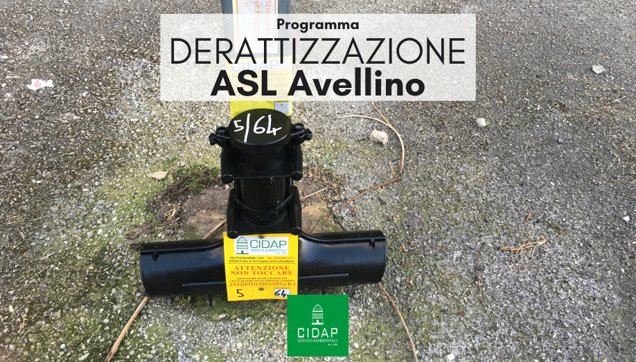 Programma derattizzazione ASL Avellino Luglio/Agosto 2023