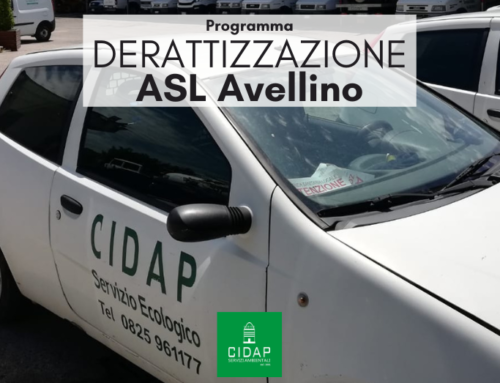 Programma derattizzazione ASL Avellino Settembre 2023