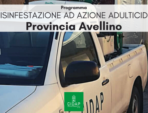 Provincia Avellino, programma di disinfestazione ad azione adulticida agosto/settembre 2023