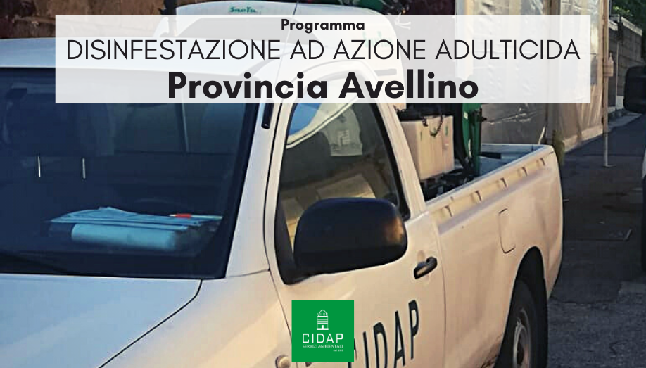 Provincia Avellino, programma di disinfestazione ad azione adulticida agosto/settembre 2023