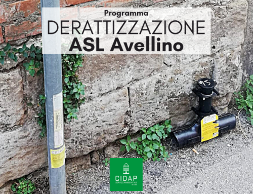 Programma derattizzazione ASL Avellino Ottobre 2023