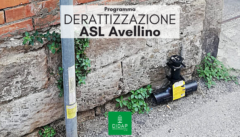 Programma derattizzazione ASL Avellino Ottobre 2023