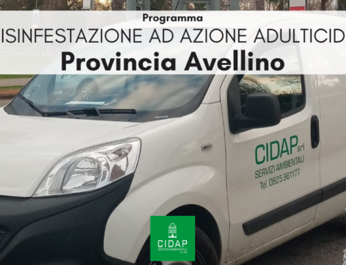 Provincia Avellino, programma di disinfestazione ad azione adulticida settembre 2023