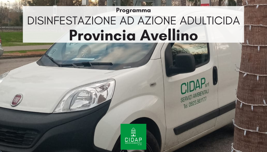 Provincia Avellino, programma di disinfestazione ad azione adulticida settembre 2023