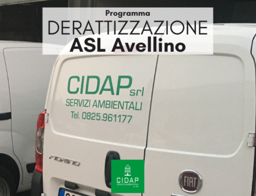 Programma derattizzazione ASL Avellino Novembre 2023