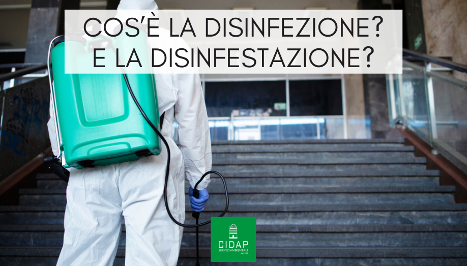 Differenze tra disinfestazione e disinfezione