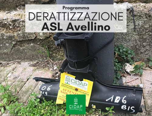 Programma derattizzazione ASL Avellino febbraio 2024