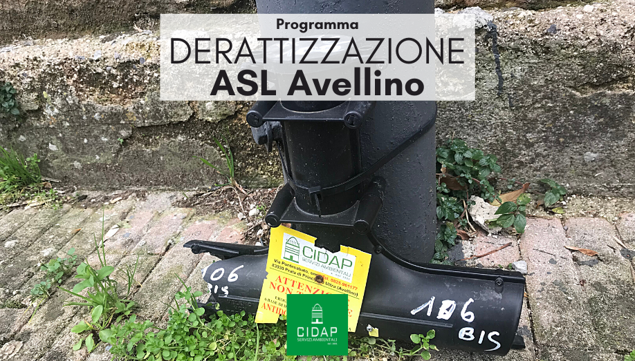 Programma derattizzazione ASL Avellino febbraio 2024