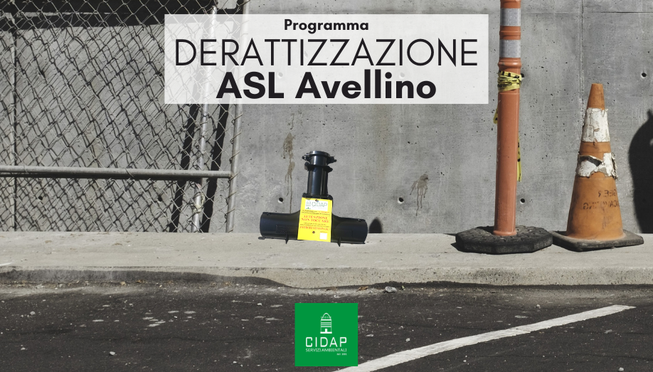 Programma derattizzazione ASL Avellino aprile 2024