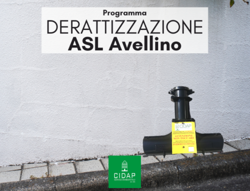 Programma derattizzazione ASL Avellino maggio 2024