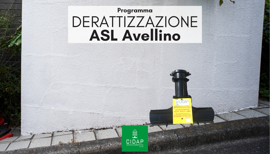 Programma derattizzazione ASL Avellino maggio 2024