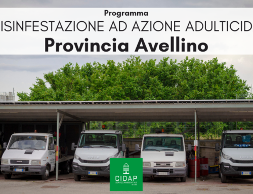 Provincia Avellino, programma di disinfestazione ad azione adulticida maggio 2024