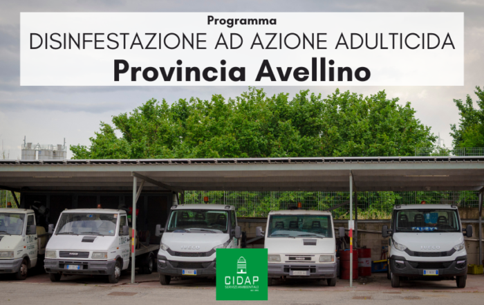 Provincia Avellino, programma di disinfestazione ad azione adulticida maggio 2024