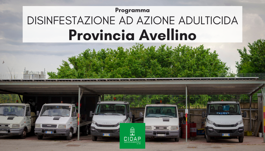 Provincia Avellino, programma di disinfestazione ad azione adulticida maggio 2024