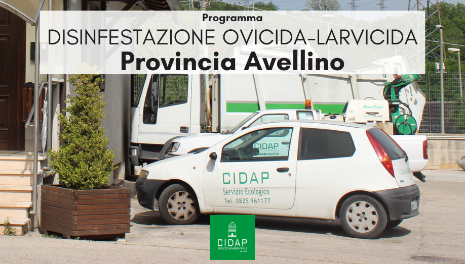 Provincia Avellino, programma di disinfestazione ovidica-larvicida aprile 2024